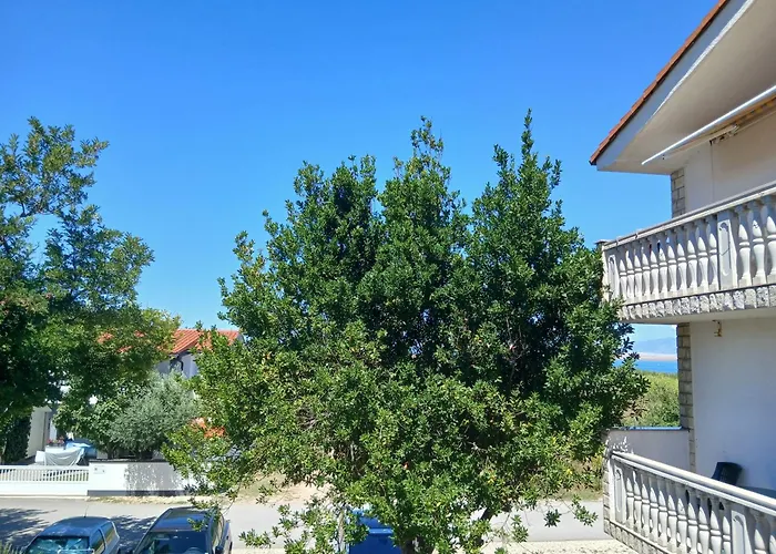 Lägenhet Put Kandelica 86